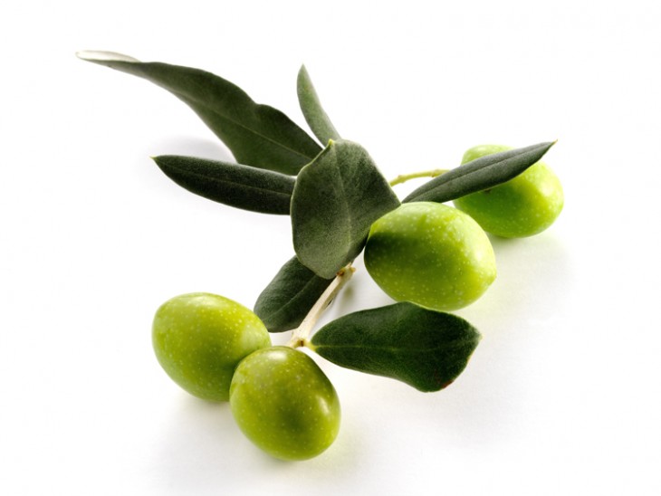 Aceite de oliva, de Jaén al mundo